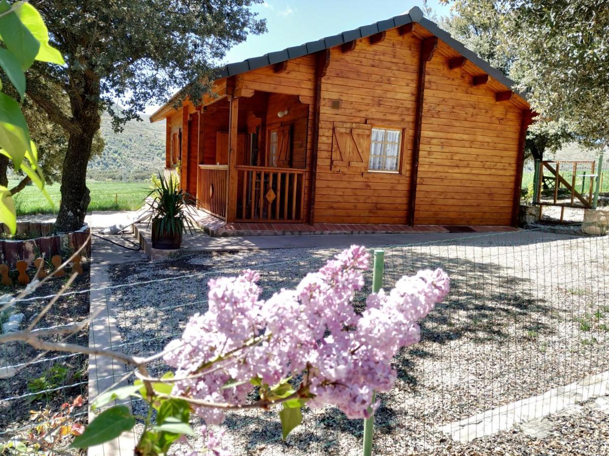 Vila La Casa Del Estanque Olocau del Rey Exteriér fotografie