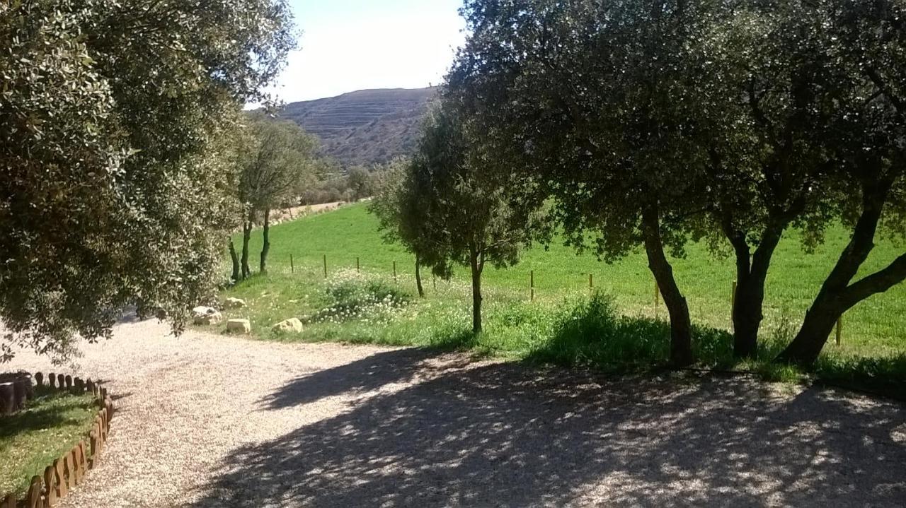 Vila La Casa Del Estanque Olocau del Rey Exteriér fotografie